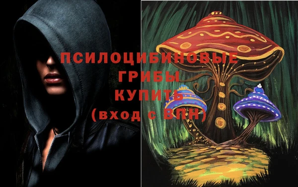 мдпв Арсеньев