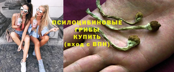мдпв Арсеньев